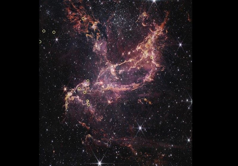 تصویر یافت نشد